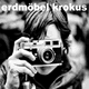 Cover: Erdmbel - Krokus
