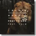 Cover:  Calvin Harris feat. HAIM - Pray To God