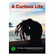 Cover: Levellers - A Curious Life - The Story of the Levellers