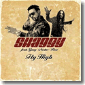 Cover:  Shaggy feat. Gary 'Nesta' Pine - Fly High