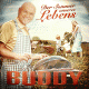 Cover: Buddy - Der Sommer unseres Lebens