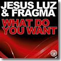 Cover: Jesus Luz & Fragma - What Do You Want