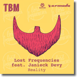 Cover: Lost Frequencies feat. Janieck Devy - Reality