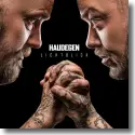 Cover:  Haudegen - Lichtblick