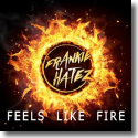 Cover:  Frankie Hatez - Feels Like Fire