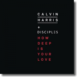 Cover: Calvin Harris & Disciples - How Deep Is Your Love