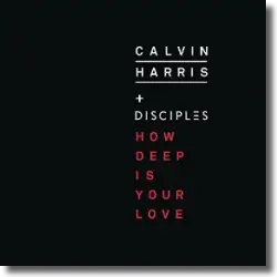 Cover: Calvin Harris & Disciples - How Deep Is Your Love