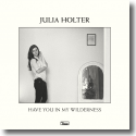 Cover:  Julia Holter - Have You In My Wilderness