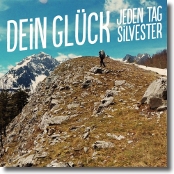 Cover: Jeden Tag Silvester - Dein Glck