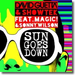 Cover: David Guetta & Showtek feat. Magic! & Sonny Wilson - Sun Goes Down