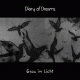 Cover: Diary Of Dreams - Grau im Licht