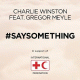 Cover: Charlie Winston feat. Gregor Meyle - Say Something