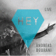 Cover: Andreas Bourani - Hey Live
