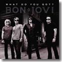 Cover:  Bon Jovi - What Do You Got?