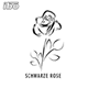 Cover: IBO - Schwarze Rose