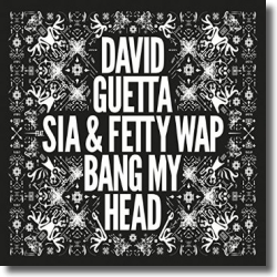 Cover: David Guetta feat. Sia & Fetty Wap - Bang My Head