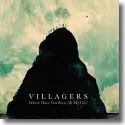 Cover:  Villagers - Where Have You Been All My Life?