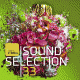 Cover: FM4 Soundselection 33 