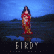 Cover: Birdy - Beautiful Lies