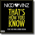 Cover:  Nico & Vinz feat. Kid Ink & Bebe Rexha - That's How You Know