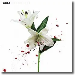 Cover: The Cult - Hidden City