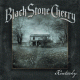 Cover: Black Stone Cherry - Kentucky