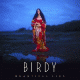 Cover: Birdy - Wild Horses