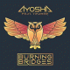 Cover: Ayosha feat. Tihamer - Burning Bridges