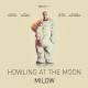 Cover: Milow - Howling At The Moon