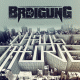 Cover: BRDigung - Chaostheorie