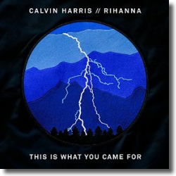 Cover: Calvin Harris feat. Rihanna - This Is What You Came For