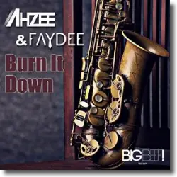 Cover: Ahzee & Faydee - Burn It Down