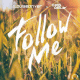 Cover: Pulsedriver & Chris Deelay - Follow Me