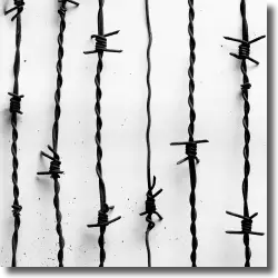 Cover: Casper - Lang lebe der Tod