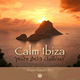 Cover: Calm Ibiza - Winter Edition 2011 