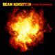 Cover: Sean Kingston - Fire Burning