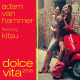Cover: Adam van Hammer feat. Kitsu - Dolce Vita 2016