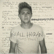 Cover: Niall Horan - This Town