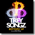Cover: Trey Songz feat. Nicki Minaj - Bottoms Up