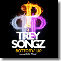 Cover:  Trey Songz feat. Nicki Minaj - Bottoms Up