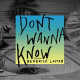 Cover: Maroon 5 feat. Kendrick Lamar - Don't Wanna Know
