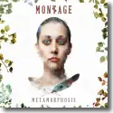Cover:  Montage - Metamorphosis