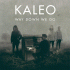 Cover: Kaleo - Way Down We Go