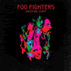 Cover: Foo Fighters - Wasting Light