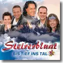 Cover:  Steirerbluat - Bis tief ins Tal
