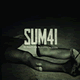 Cover: Sum 41 - Screaming Bloody Murder