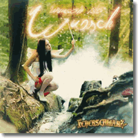 Cover: Feuerschwanz - Wunsch ist Wunsch