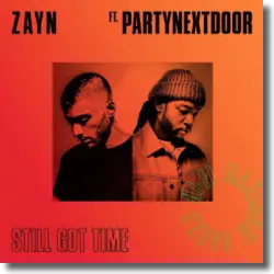 Cover: Zayn feat. PartyNextDoor - Still Got Time
