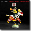 Gov't Mule - Revolution Come Revolution Go