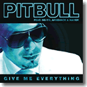 Cover: Pitbull feat. Ne-Yo, Afrojack & Nayer - Give Me Everything